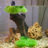 Penn-Plax Fish Breeding Grass – Baby Hideout for Fry – Great for Livebearers and Egg Layers – Plastic Aquarium Plants – 2 Pieces...