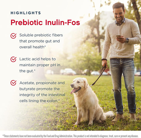 Jarrow Formulas Prebiotic Inulin FOS - 6.35 Ounce(Pack of 2) - Promotes Friendly Bacteria - Soluble Prebiotic Fibers - Promote Gut & Overall Healt...