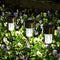 SOLPEX 12 Pack Solar Outdoor Lights Pathway, Stainless Steel Solar Lights Outdoor Waterproof,LED Landscape Lighting Solar Walkway Lights for Lands...