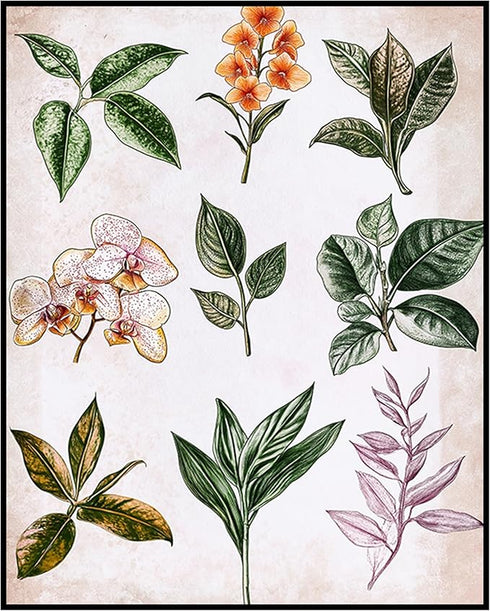 Posterizer 1 pcs-botanical illustration of a variaty of plants-educational art 2-Floral & Botanical Art Gift for Men Women Entrepreneur Teens Dec...