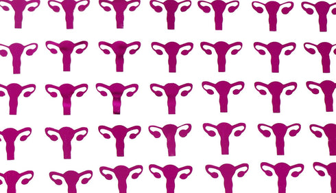 ROFLmart Metallic Pink Uterus Confetti Party Decoration (1)...