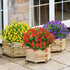 GREENRAIN Artificial Flowers Outdoor Fake Flowers for Decoration UV Resistant No Fade Faux Plastic Plants Garden Porch Window Box Décor (6 Bundles...