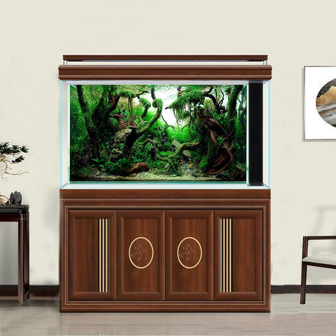 Aquascaped Freshwater Aquarium Background with Neon Fish Live Plants,Frodo Stones and Redmoor Roots Terrarium Background Jungle Style Aquascape Aq...