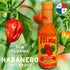 D'ELidas Habanero Hot Sauce, Natural Habanero Pepper Hot Sauce, Chombo Picante Sauce #1 in Panama, Non-GMO, Keto Friendly Food Habanero Sauce, 5 F...