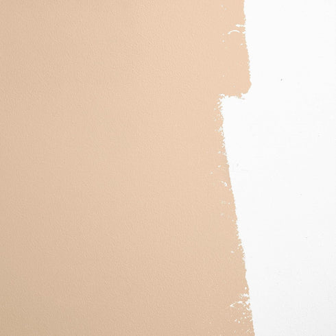 BACKDROP | Premium Interior Paint | Large Adhesive Paint Swatch | BROOKLYN COWBOY — Warm, Earthy Beige | Sample...