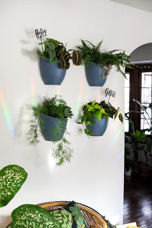 The HC Companies 8 Inch Garden Wall Planter - Plastic Hanging Plant Pot for Indoor Outdoor Flowers, Herbs, White...