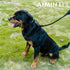 Dog Leash, Braided Rope Traction – Walking Training Lead for Medium/Large Dogs ((1/2") - 2FT, Black)...