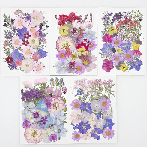 Cayway 170 PCS Real Nature Dried Pressed Flower Leaves, Pressed Flowers for Resin, Real Nature Pressing Floral Leaves for DIY Craft, Candle Scrapb...