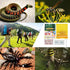 Snake Bite Kit, Bee Sting Kit, Emergency First Aid Supplies, Venom Extractor Suction Pump, Bite and Sting First Aid for Hiking, Backpacking and Ca...