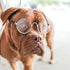 9 Pairs Doll Glasses Metal Wire Rim Clear Lens Eyewear Fabric Doll Dress Up Eyeglasses Mini Dolls Costume Accessories for 18 Inch and Other Item D...