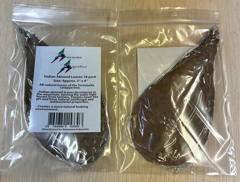 Awesome Aquatic Betta Leaves 10 4" - 6" Premium Catappa Indian Almond Leaves Natural Habitat, Tannin Producing, Improves Immunity, Calms and Reduc...