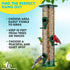 Gray Bunny 2 Pack, 14 Inches Tube Bird Feeders for Outdoors Hanging, 6 Feeding Ports, Hard Plastic Bird Feeder Outdoor Weatherproof & Steel Hanger...