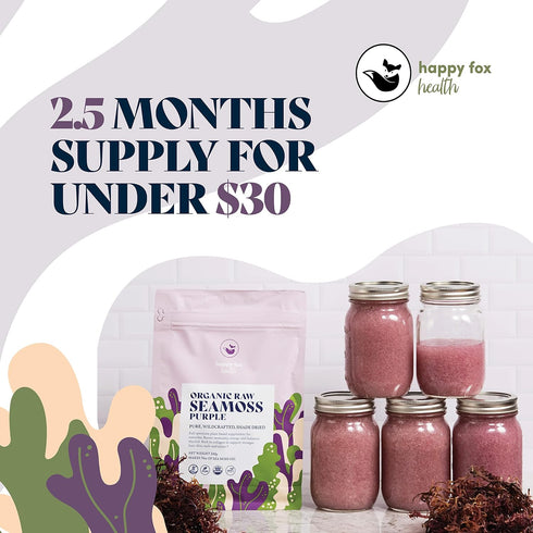 HAPPY FOX Organic Sea Moss Raw Purple - Makes 75oz of Seamoss Gel Rich in Phytonutrients & Minerals, Certified Non-GMO, Wildcrafted, Superfood - 1...