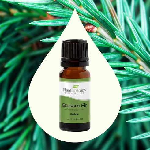 Plant Therapy Balsam Fir Essential Oil 10 mL (1/3 oz) 100% Pure, Undiluted, Therapeutic Grade...