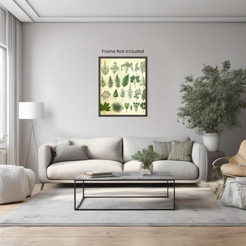 Posterizer 1 pcs-botanical illustration of a variaty of plants-educational art 4-Floral & Botanical Art Gift for Men Women Entrepreneur Teens Dec...