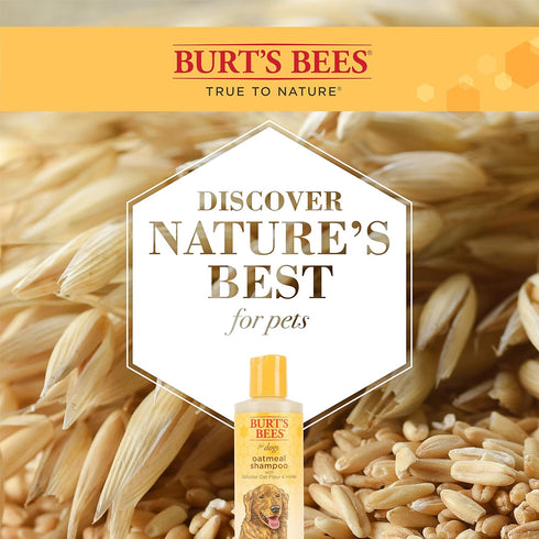 Burt's Bees for Pets Naturally Derived Oatmeal Shampoo with Colloidal Oat Flour and Honey - Oatmeal Dog Shampoo to Soothe and Cleanse Dogs Skin an...