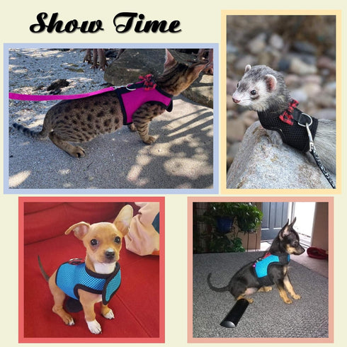Rypet Small Animal Harness and Leash - Soft Mesh Small Pet Harness with Safe Bell, No Pull Comfort Padded Vest for Small Pet Pink S...