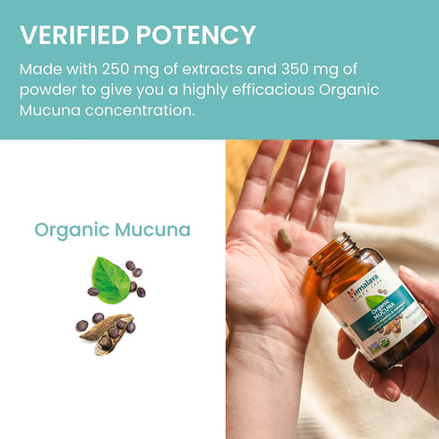 Himalaya Organic Mucuna/Pruriens Herbal Supplement, Supports Relaxation, Tension Relief, Brain Function, Non-GMO, USDA Organic, Vegan, Gluten Free...