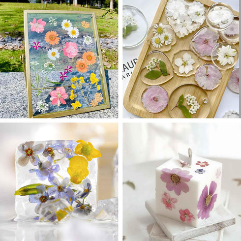 300+Pcs Small Dried Flowers for Crafts with Tweezer - Colorful Real Natural Mini Dried Flowers for Resin, Tiny Dried Pressed Flowers for DIY Jewel...