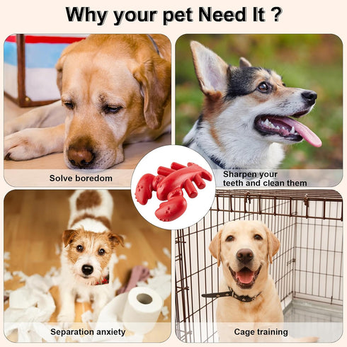 Dog Chew Toys, Interactive Dog Toys for Aggressive Chewers, Indestructible Dog Toys for Medium/Large Dogs, Great Gift for Pet...