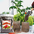 Organic Vegetable Soil Mix 1qt, Indoor Plants Potting Mix for All Potted Vegetable like Tomatoes Lettuce Bell peppers, Grow Healthy houseplants In...