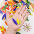 200g Ceramic Mosaic DIY Set Colorful Petal Ceramics Leafy Vein Mosaic Tiles Craft Materials Mosaic Art Materials - Red...