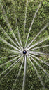 Rain Bird 8SAPROPR Pressure Regulating (PRS) High-Efficiency Pro Rotary Sprinkler, Hand Adjustable 45° - 270° Pattern, 8' - 14' Spray Distance, 4"...