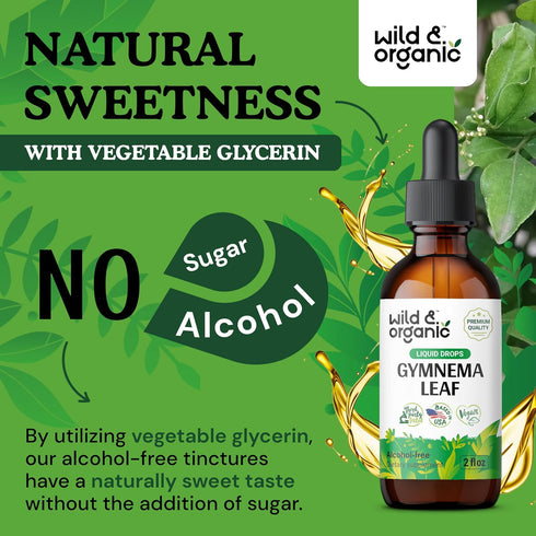 Gymnema Tincture - Sugar-Free Gymnema Sylvestre Organic - Alcohol-Free Gymnema Liquid w/Antioxidants - Gurmar Gymnema Supplement - Vegan Gymnema H...