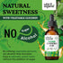 Gymnema Tincture - Sugar-Free Gymnema Sylvestre Organic - Alcohol-Free Gymnema Liquid w/Antioxidants - Gurmar Gymnema Supplement - Vegan Gymnema H...
