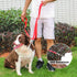 AMAGOOD 6 FT Puppy/Dog Leash, Strong and Durable Traditional Style Leash with Easy to Use Collar Hook,Dog Lead Great for Small and Medium and Larg...