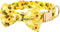 Beirui Soft & Comfy Dog Bow Tie Collar with Multicolor Patterns - Cute Boy Girl Dog Collars with Metal Buckle - Detachable Bowtie Dog Collar Gifts...