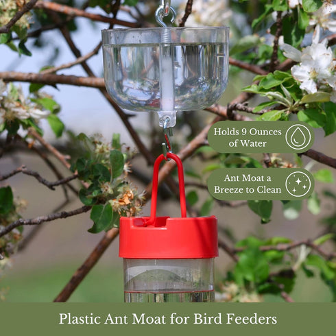 Songbird Essentials Nectar Protector Junior, Bird Feeder Protection, Clear...