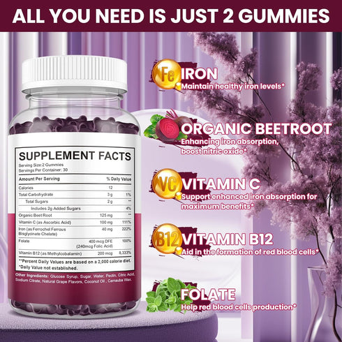 (2 Pack) Iron Gummies Supplement for Women & Men, Iron Supplements for Anemia with Vitamin C, B12, Folate-Blood Builder & Energy Support for Iron ...