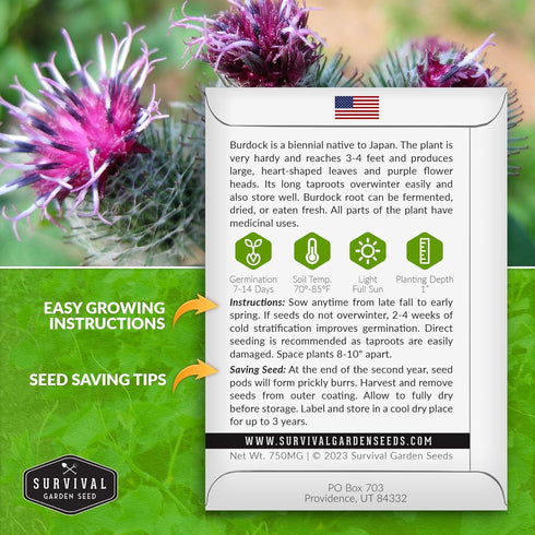 Burdock Seed for Planting - 1 Packet with Instructions to Plant & Grow Burdock Root (GOBO) in Your Home Vegetable Garden - Burdock Plant - Non-GMO...