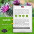 Burdock Seed for Planting - 1 Packet with Instructions to Plant & Grow Burdock Root (GOBO) in Your Home Vegetable Garden - Burdock Plant - Non-GMO...