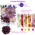 Dried Pressed Flowers for Resin, Big Size Pressed Flowers Dry Leaves Bulk Natural Herbs Kit for Scrapbooking DIY Art Crafts, Candle Making, Nails ...