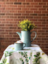 Abbott Collection Enamel Look Stoneware Cappuccino Cup, Green...