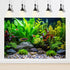 Aquarium Background Tropical Fish with Green Plants and Stones Terrarium Background Aquatic Plants Rocks Moss Tropical Style Landscape Aquarium Ba...