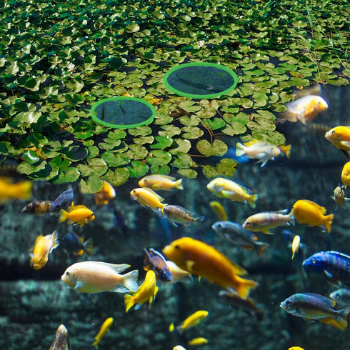 5pcs Aquarium Floating Plant Rings, Foam Floaters Plant Corral Fish Feeding Ring Aquarium Feeding Ring, for Intercepts Floating Plants(Green)...