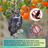 Bird Scarers for Garden, 2Pack Fake Owls to Keep Birds Away Bird Reflective Devices Double Sided Bird Reflectors to Keep Birds Away from Garden Pa...