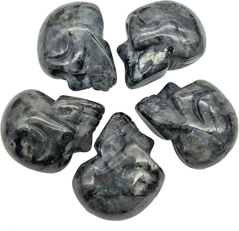 Mini 1" Crystal Human Skull Head Statue Figurine, Hand Carved Pocket Stone Halloween Sculptures Decoration Healing Reiki, Pack of 5, Black Labrado...