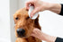 pet wiz Aloe Vera Eye Wipes for Cleaning Dogs & Cats - Extra Large...