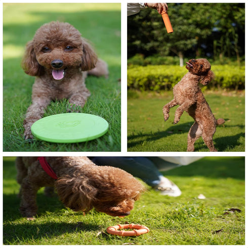 Dog chew Toys for Aggressive chewers Small Breed Non Toxic Silicone Long Lasting Dog Toys Ring Toy for Healthy Teeth (Green)...