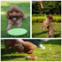 Dog chew Toys for Aggressive chewers Small Breed Non Toxic Silicone Long Lasting Dog Toys Ring Toy for Healthy Teeth (Green)...