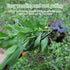 Weeding Tools,Portable Garden Weeder Tool,2024 New Manganese Steel Weed Puller,for Hand Weeder for Vegetable Gardening Backyard Farm Planting & Up...