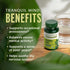 Banyan Botanicals Tranquil Mind – Organic Supplement with Guduchi, Gotu Kola & Skullcap – Supports Occasional Anxiousness & Promotes a Sense of Ca...