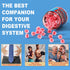 Butyrate Gummies with Probiotic + Prebiotic + Postbiotic - 9 Billion CFU Probiotics with Fiber, Calcium & Magnesium, Omega-3, Inulin, Psyllium Hus...