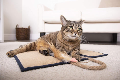 SmartyKat Clever Claws Carpet & Burlap Hanging Cat Scratch Mat - Brown/Gray with Blue Trim, One Size...
