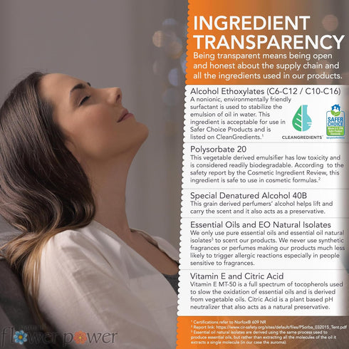 Air Freshener Spray | Citrus & Spice 4 Fl Oz | Pack of 2 | Scented w/Pure Essential Oils | Non-Aerosol Plant-Based Odor Eliminator | Room, Linen, ...