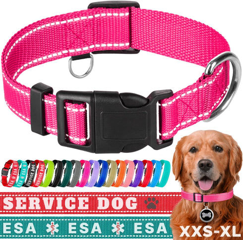 TECEUM Reflective Pet Collar – Hot Pink – L – Basic Nylon Dog Collar – Quick Release Buckle – Fits Small, Medium and Large Dogs, Puppies, Cats – E...